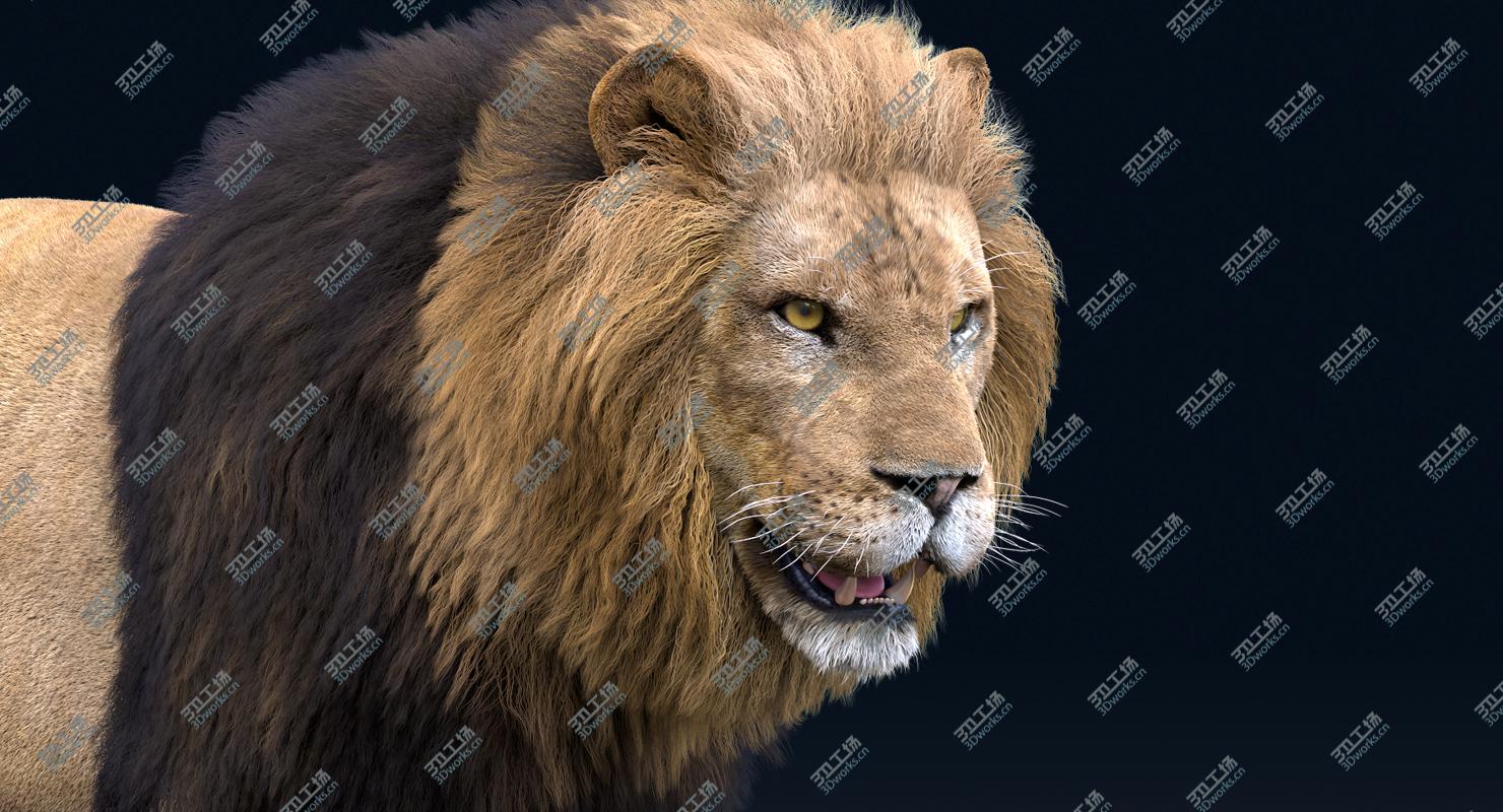 images/goods_img/20210313/3D Lion(Rigged, FUR)1 model/4.jpg